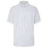 Bigdude Striped Short Sleeve Shirt Blue/White