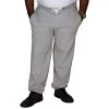 Bigdude Basic Joggers Grey -Urban Fit Shop 6252458c img 8894 clipped rev 1 2