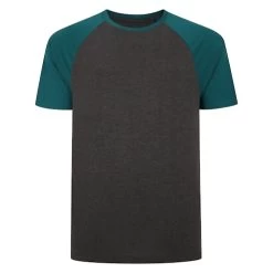 Bigdude Contrast Raglan Sleeve T-Shirt Charcoal/Green