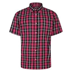 Bigdude Button Down Short Sleeve Check Shirt Magenta Tall