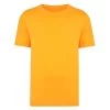 Bigdude Plain Crew Neck T-Shirt Orange