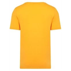Bigdude Plain Crew Neck T-Shirt Orange Tall -Urban Fit Shop plain crewe neck tshirt orange 3 1