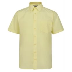Bigdude Classic Short Sleeve Poplin Shirt Lemon Tall